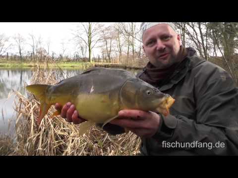 Matze Koch: All-round with the match rod - Matze's antics 03-2015