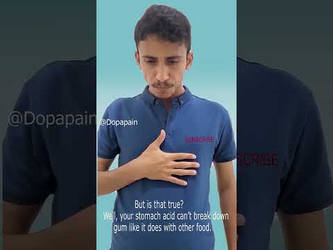 What Actually Happens to Gum in Your Stomach