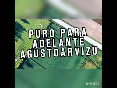 Dogs are funny / perros graciosos #top #funny #dogs #viral #perros #subscribe #like