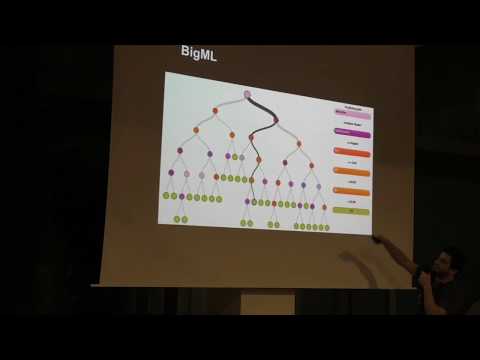 MLMU.cz - FlowerChecker: Exciting journey of one ML startup – O. Veselý & J. Řihák