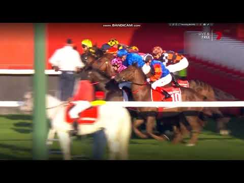 Manikato Stakes - Bella Niptoina (Group 1 - 2022)