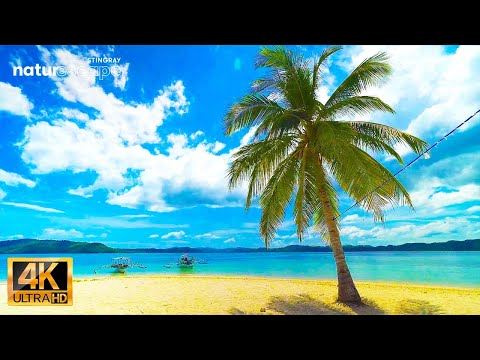 Beautiful Palawan Philippines Beach Ambient Relaxing Nature Sounds in Tropical Paradise