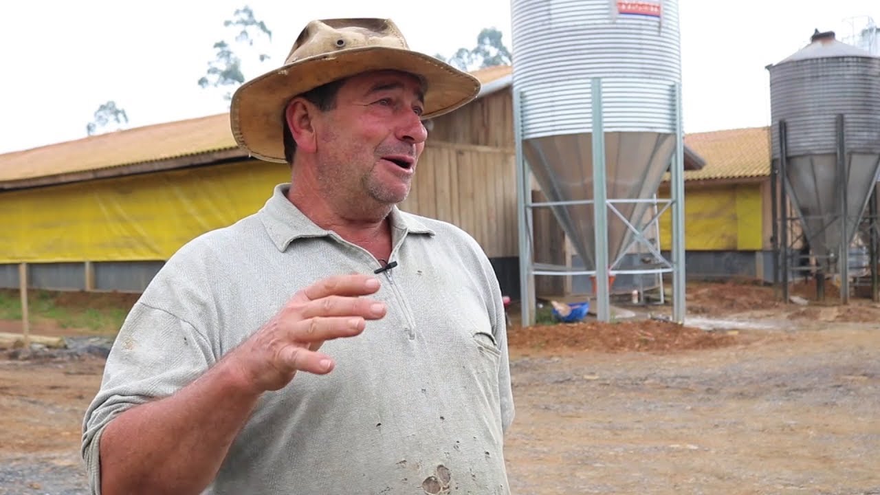 Granja de suínos: mesmo chamado de louco, ele decidiu investir!