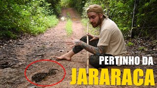 JARARACA É PERIGOSA MESMO? | PAPO DE BIÓLOGO