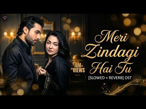 Meri Zindagi Hai Tu (Slowed + Reverb) – OST | Asim Azhar & Sabri Sisters | Melodex 2.0 🎧✨