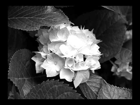 Náksi vs Brunner feat Nona - Tiltott Álmok (Extended Mix)