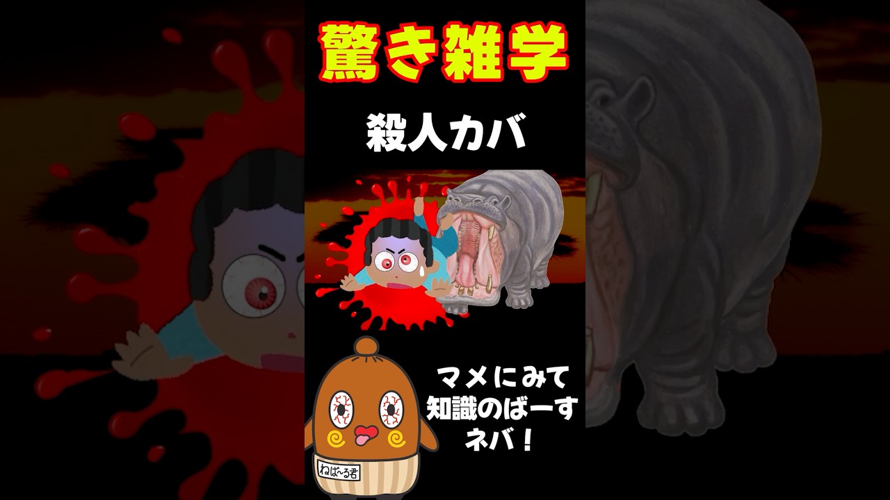 恐怖の雑学 便利な雑学 #ねばーる君 #恐怖雑学 #豆知識 #shorts #ねばねばtv #怖い雑学 #怖い話 #アニメ