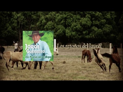 Jorge Guerrero - Los retoños del Laurel