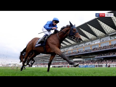 SO TOUGH! 💪 | TRAWLERMAN regains his Long Distance Cup crown on British Champions Day