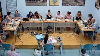 Ple Ordinari 30-06-2026