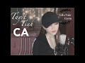 Tuyệt Tình Ca Lã Phong Lâm Cover Lala Trần