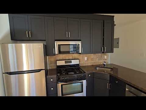 video 1