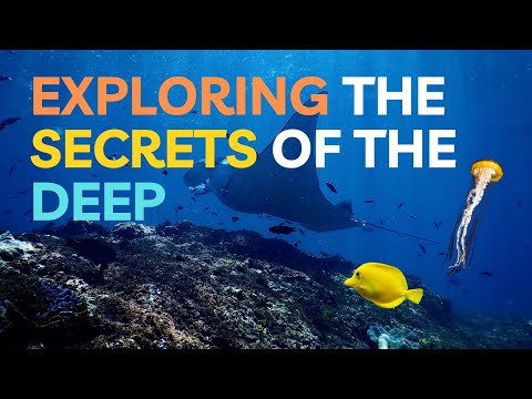 Journey into the Secret World of the Deep Ocean