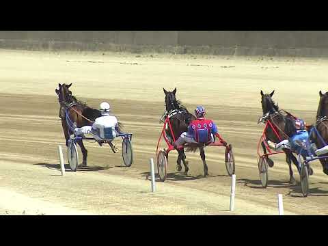 Ippodromo dei Sauri - Game driver del 29 05 2025