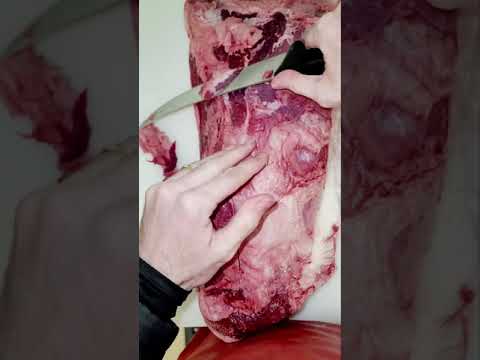 Bottom Round What is it good for?