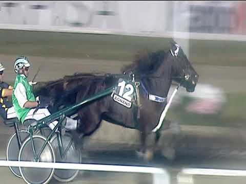 Trotto 30/06/2019 - 7ª corsa