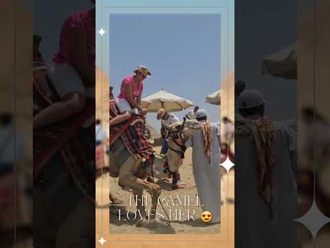 riding camels in the pyramids of Giza ❤️ #travel #amazingegypt