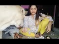 Pata Nahi Mujhe Kya Ho Gaya Ek Hafte Se Bimar Hu Kitani Dawaiya Le Li Theek Nhi Ho Rha Bukhar