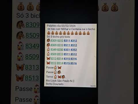 Betto Dourado Palpites Bagaceira dia 03/02/2026 Rio Look São Paulo Nacional 