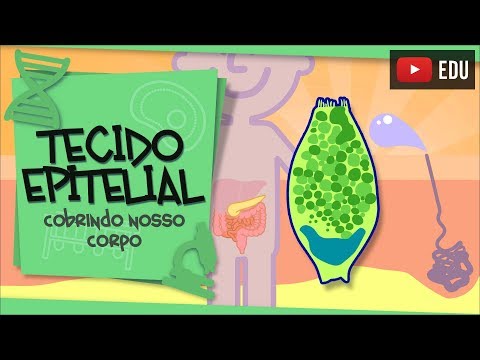 Epithelial Tissue - covering our body