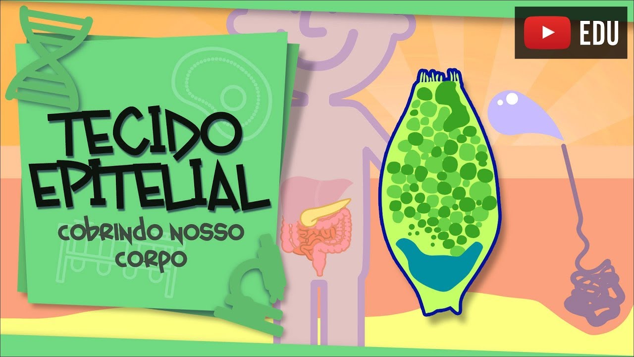 Tecido Epitelial - cobrindo nosso corpo