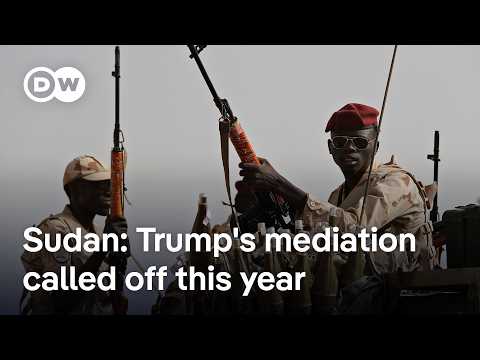 Paramilitary Rapid Support Forces kill dozens in Darfur refugee camp: Who is arming them? | DW News