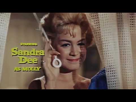 『避暑地の出来事』 予告編 A Summer Place Trailer 1959.