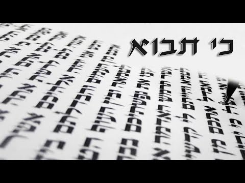 Do you see the miracles in your life? - Parashat Ki Tavo - Rabbi Alon Anava