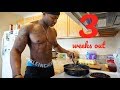 CHEAT MEAL 3 Weeks Out Men's Physique Show | Celebrating 3 Yr Wedding Anniversary | CP Ep.28