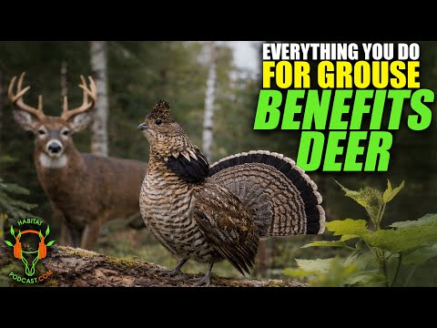 Why Managing for Grouse Makes Your Deer Habitat Better with Erich Long and Cody Altizer