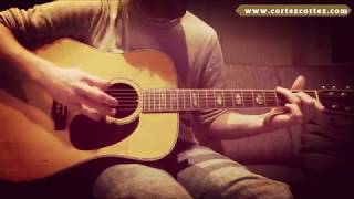 How To Play "TELL ME WHY" by Neil Young | Acoustic Tutorial on a CG Winner W-777 Martin D45 copy