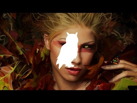 Bryce Fox - Voodoo