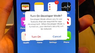 How To Turn ON Developer Mode on iPhone or iPad! [Developer Options]
