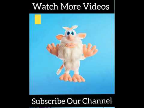 My Talking Booba  Talking Booba 2 New Update - Android GamePlay Booba Game