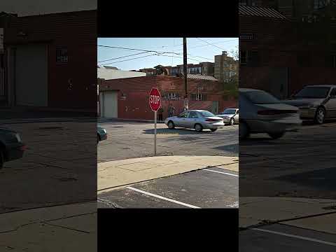 Frank made the intersection safer