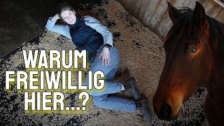 DAS hätte ich viel früher machen sollen ‼️​ Bepco Stallmatten