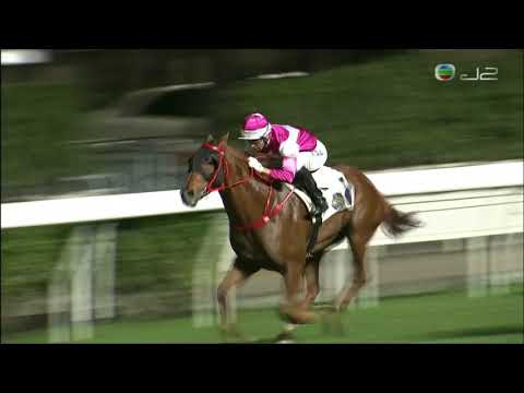 2020/21 (235) - Kinda Cool (超威星) - 莫雷拉 (加眼罩排好位順利大熱贏馬)