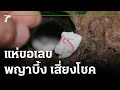 ตรวจ หวย ออมสิน