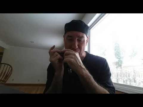 Technical Exercises In The Morning David Kettlewell chromatic harmonica