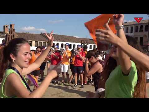 Fiestas patronales dia 21 - Alko TV