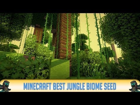 Nick_616 - ✔ Minecraft 1.18.1: Epic Jungle Biome at Spawn Seed (2022)