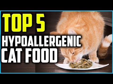Top 5 Best Hypoallergenic Cat Food in 2021