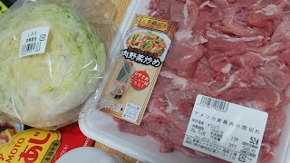 【生配信】レタスチャンプルーを作って食べる配信