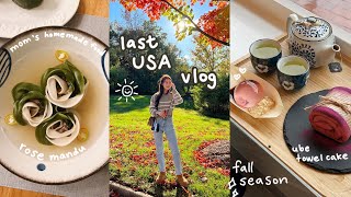 last usa vlog 🇺🇸 what i eat, mom's homemade food, chestnut picking, finally getting my korean visa