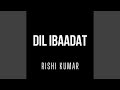 Dil Ibaadat Instrumental Version