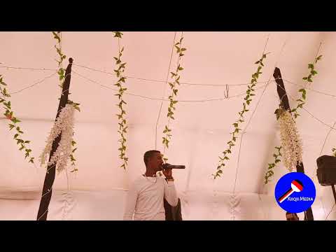 Firoomsaa Abarraa Live Stage Performance 2025