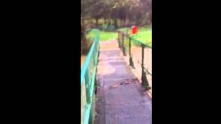 Woodham burn flood