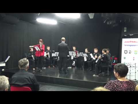 UMJETNIČKA ŠKOLA FRANJO LUČIĆ HARMONIKAŠKI ORKESTAR