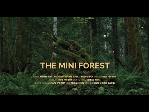 THE MINI FOREST - Rewilding using the Miyawaki Method