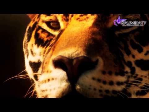 Arions - Beginning Of The End (Original Mix)  [Official Music Video] [HD]